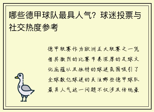 哪些德甲球队最具人气？球迷投票与社交热度参考