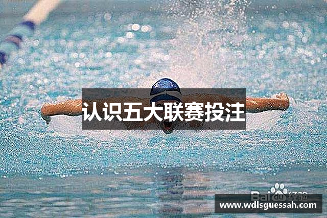 认识五大联赛投注